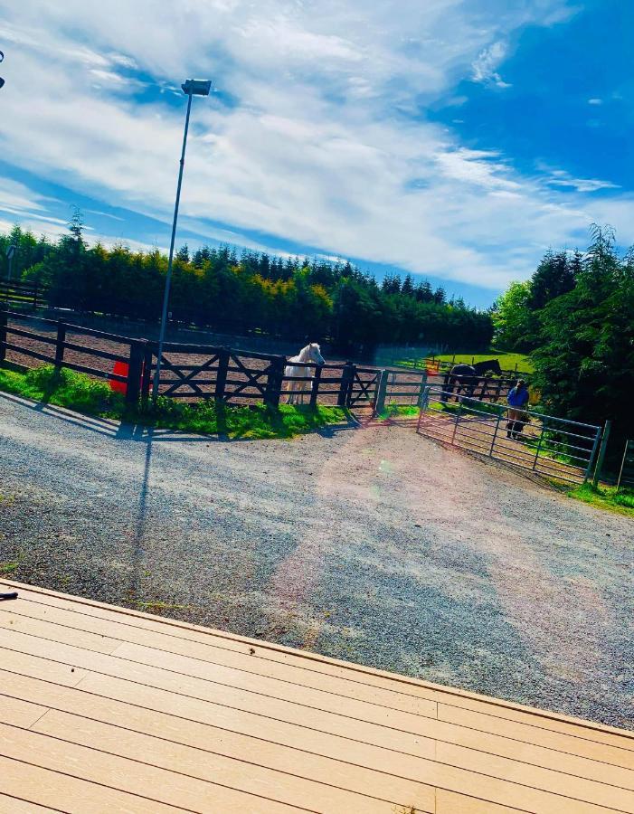 Remus B&B Lochgelly Exterior photo